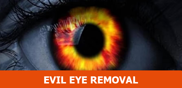 world renowned Astrologer